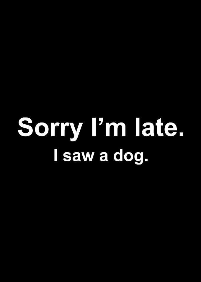 Sorry I'm late. I saw a dog.
