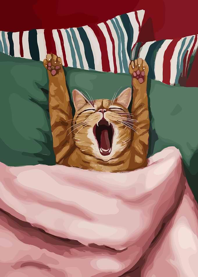 Cat Yawning in Bed