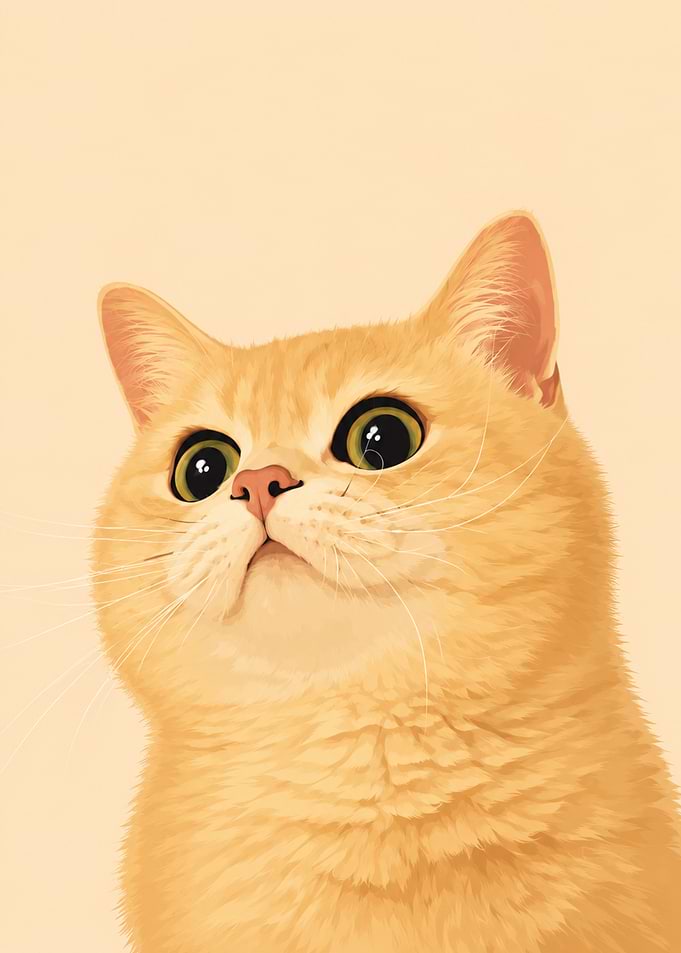 Cute Orange Cat Looking Up