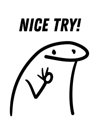 Nice Try Flork Meme