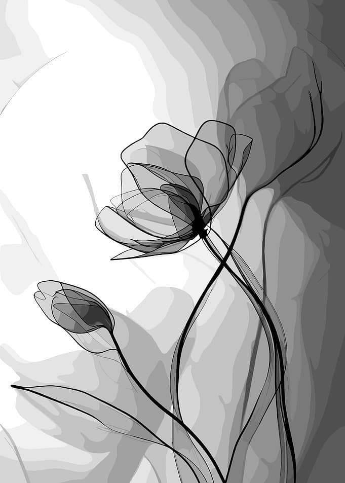 Monochromatic Floral Illustration