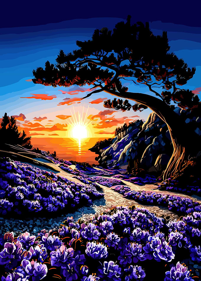 Sunset over a field of purple flowers