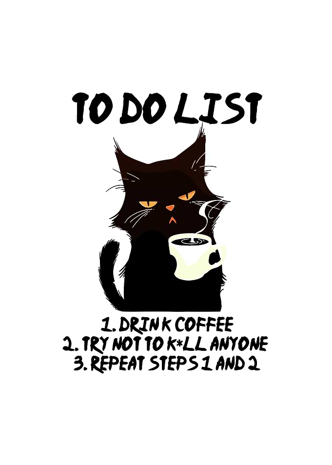 Grumpy Cat Coffee To-Do List