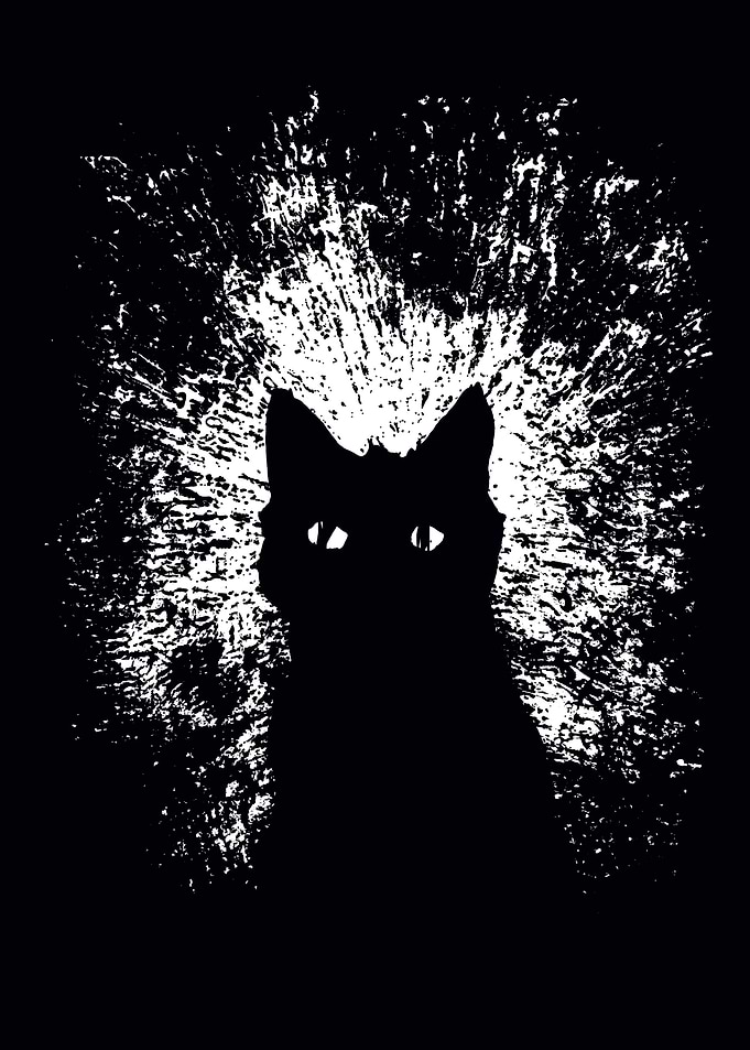 Black Cat