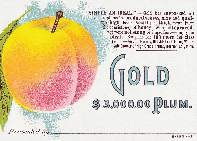 Gold Plum Advertisement