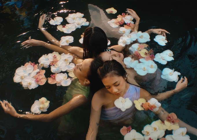 no na in Water with Orchids