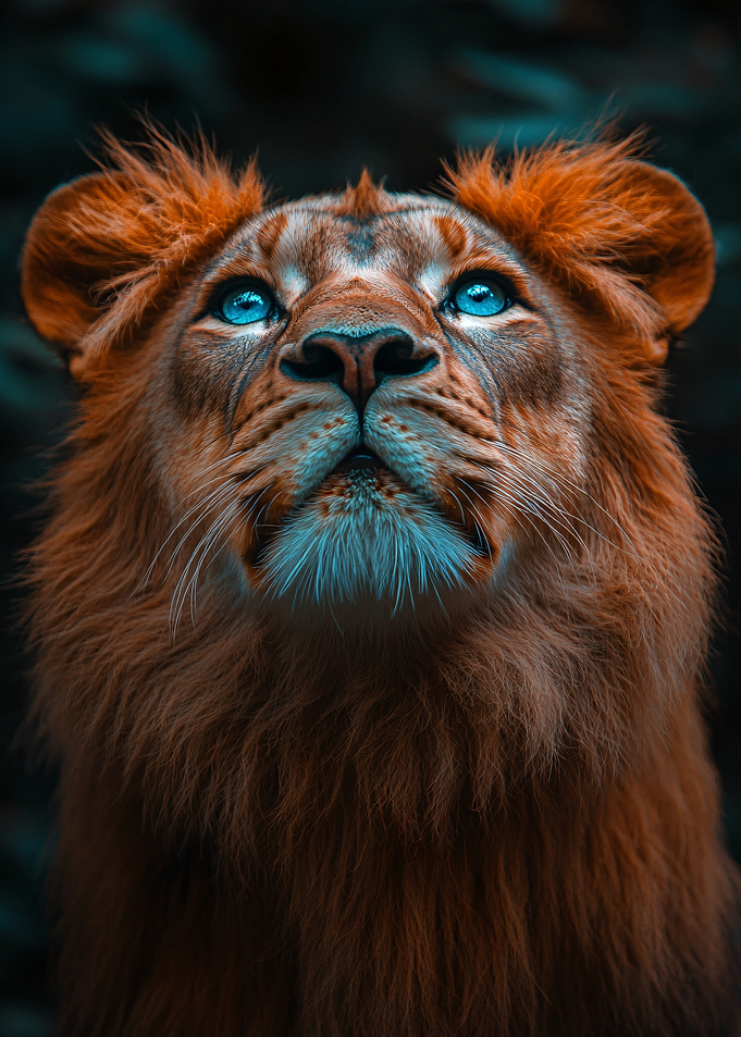 Majestic Lion with Blue Eyes