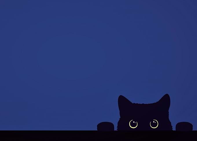 Black Cat Peeking Out