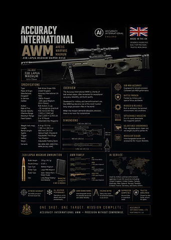 Accuracy International AWM Sniper Rifle