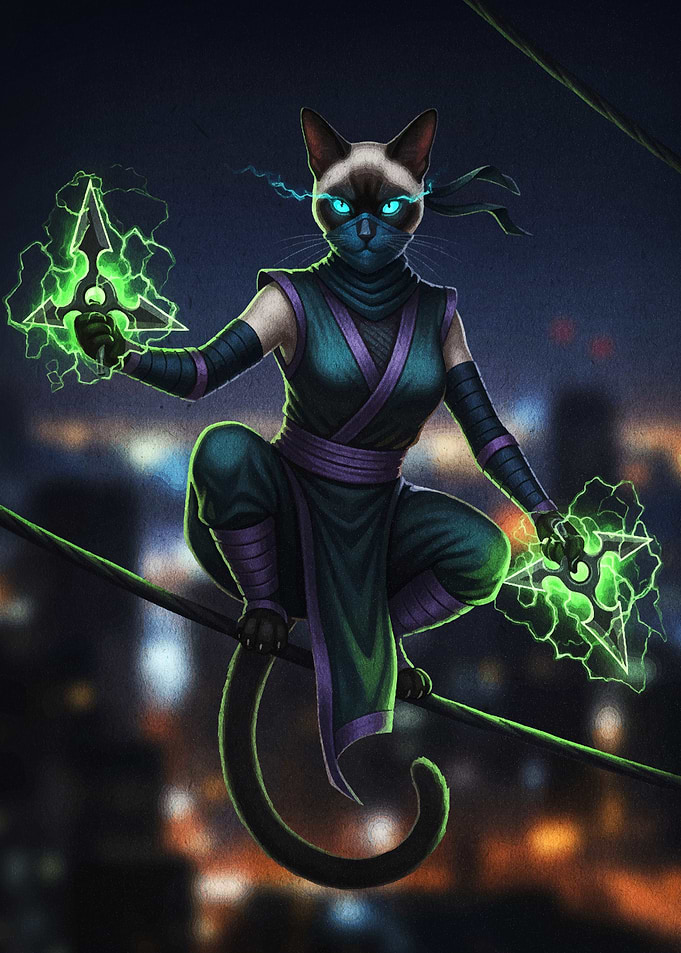 Siamese Cat Ninja with Shurikens
