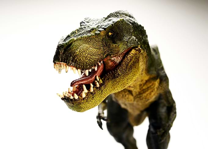 Detailed Tyrannosaurus Rex Dinosaur Model