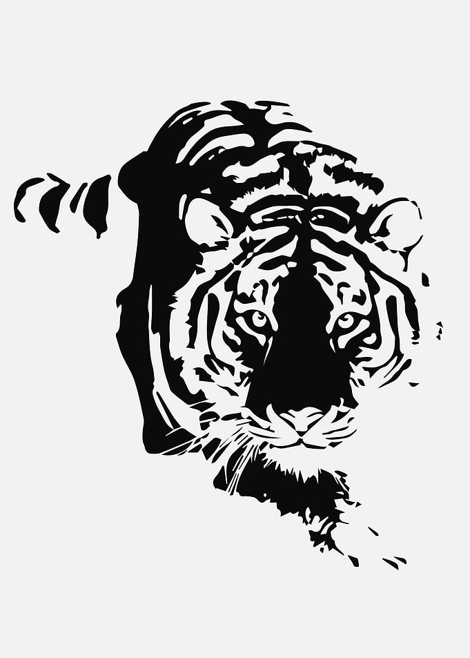 Black and White Tiger Illustration