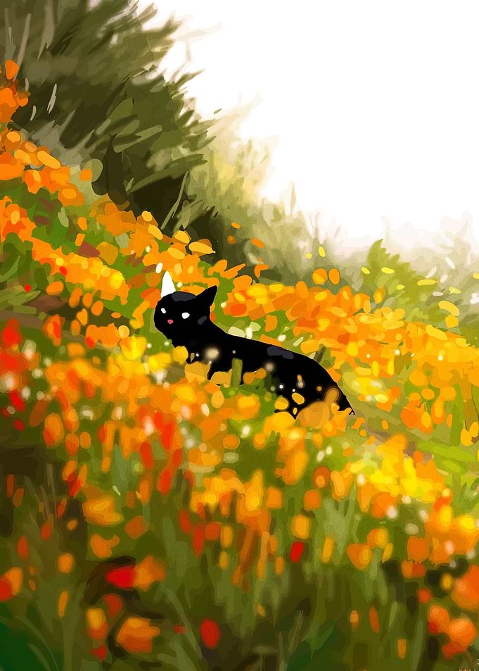 Black Cat in a Field of Orange Flowers