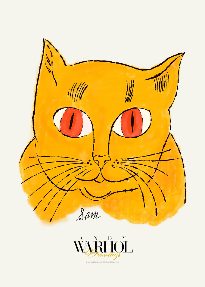 Warhol Drawings | Sam in orange