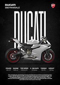 Ducati 899 Panigale Motorcycle