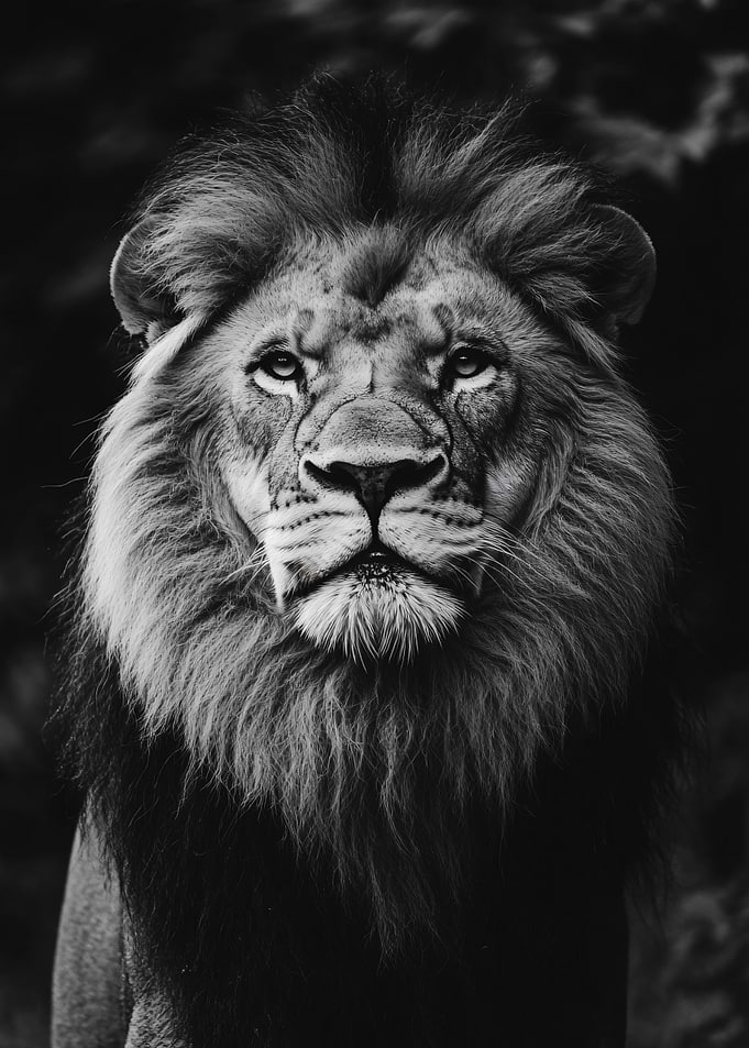 Majestic Lion Portrait