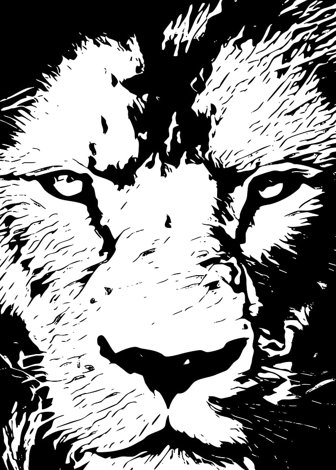 Close-up of a Lion's Face