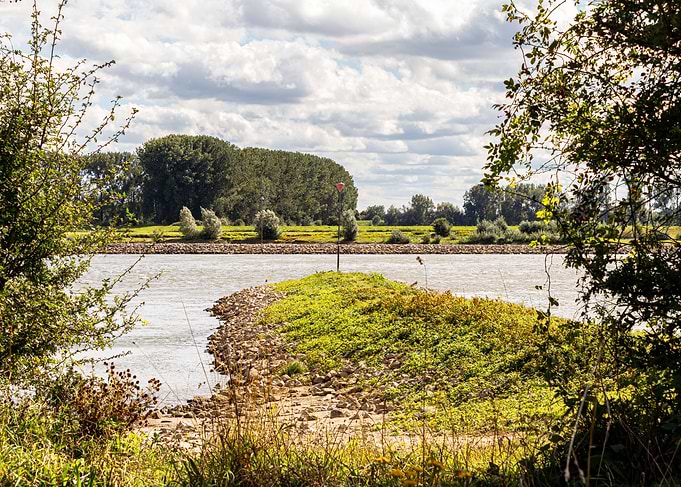 River landscape with island and trees
