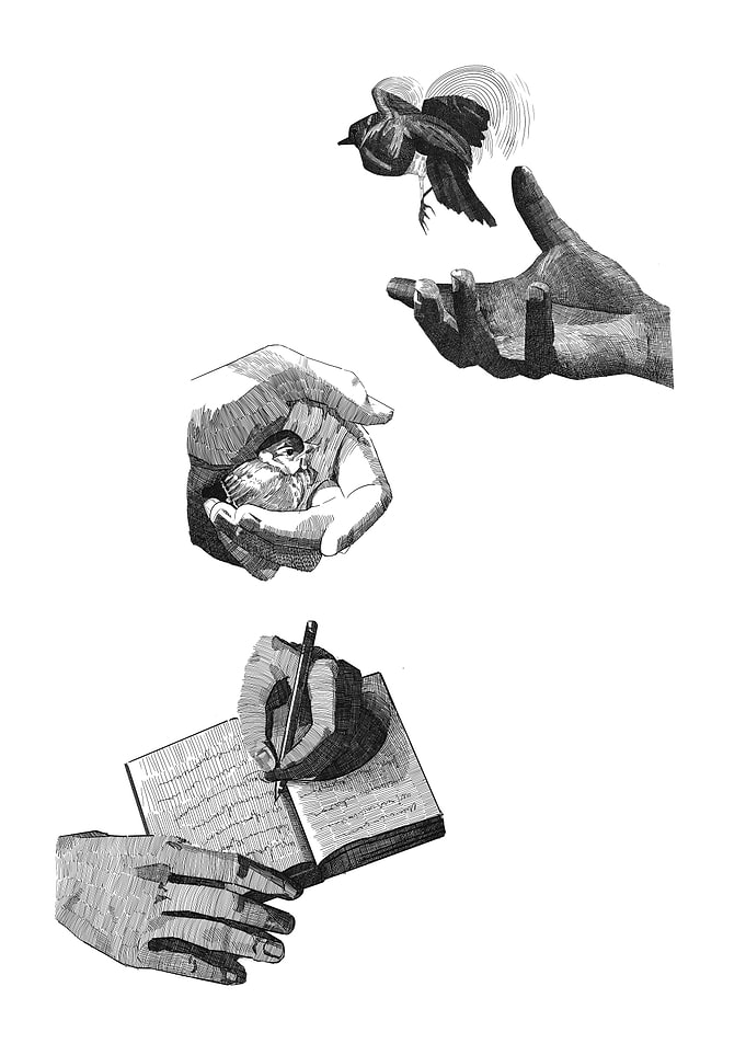 Hands holding a bird and writing