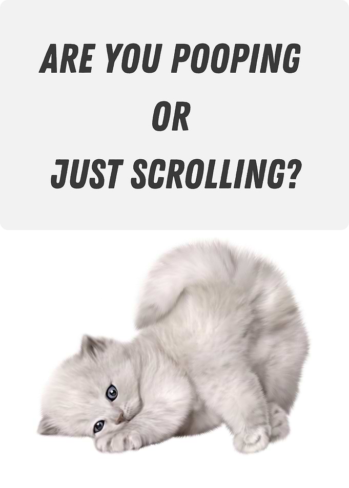 Funny Cat Toilet Humor