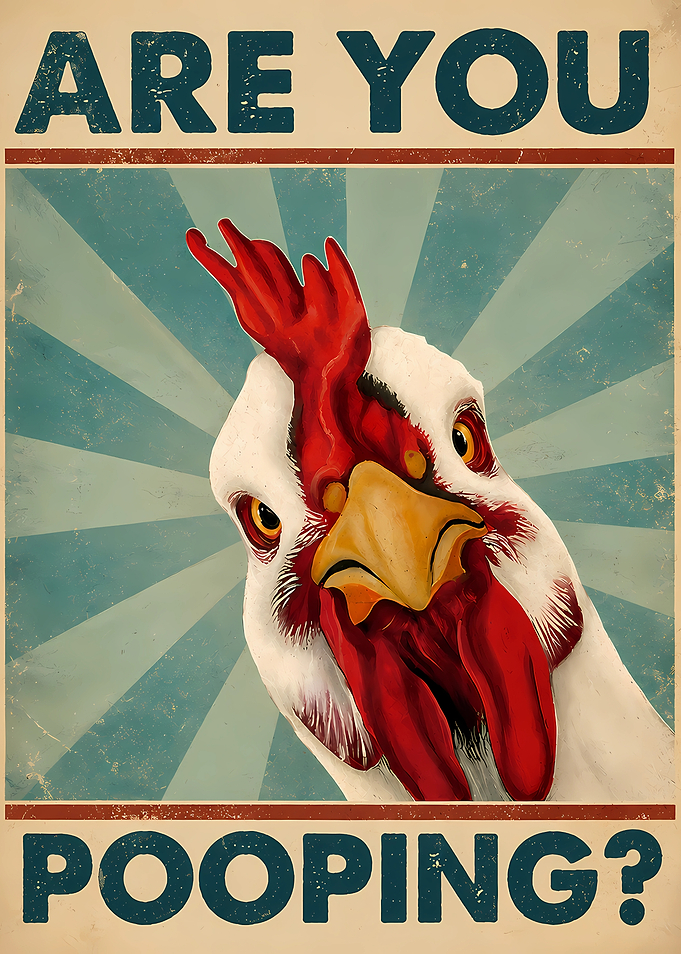 Funny Chicken Poster