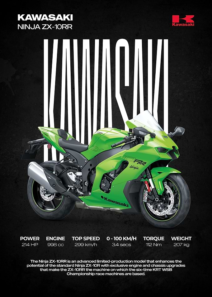 Kawasaki Ninja ZX-10RR Motorcycle