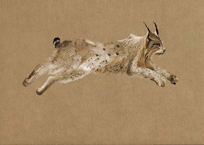 Lynx in Mid-Leap oil painted vintage