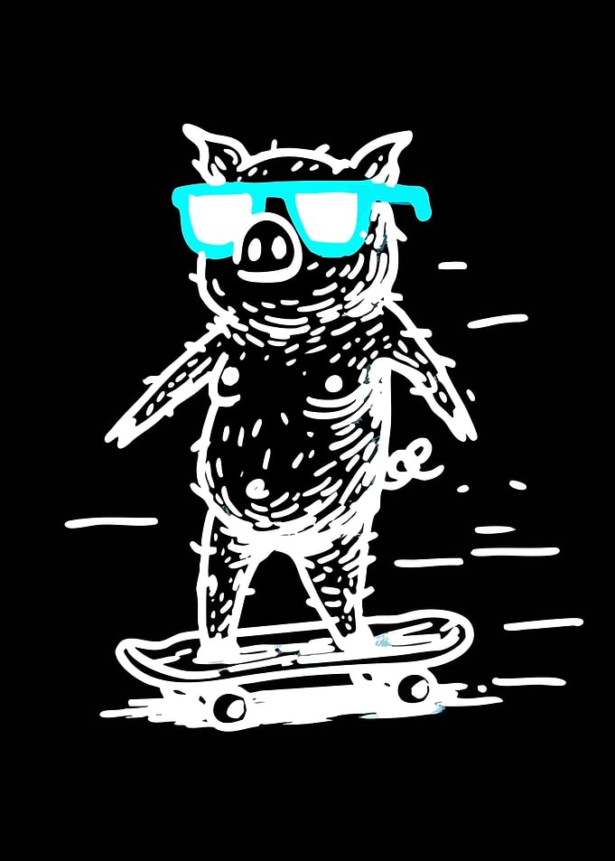Cool Pig on Skateboard