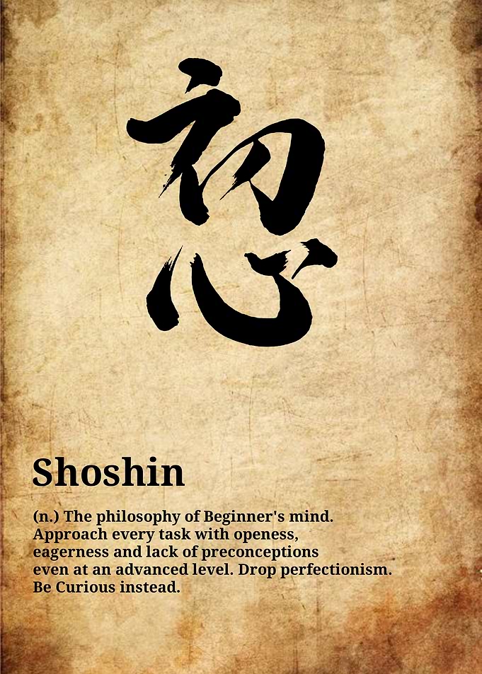 Shoshin Japanese Calligraphy