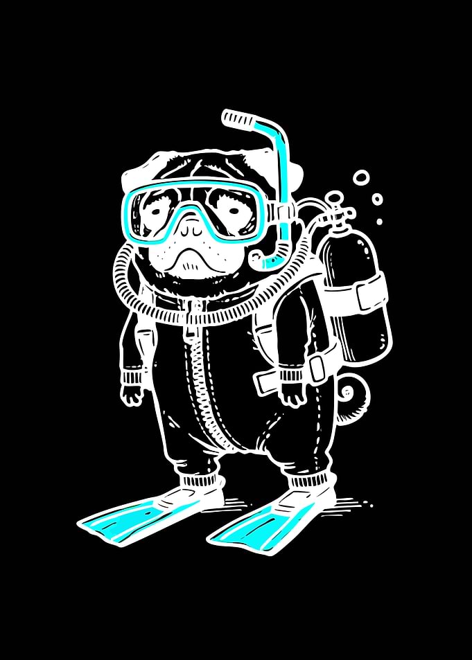 Diving Pug Illustration