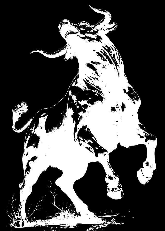Charging Bull Illustration