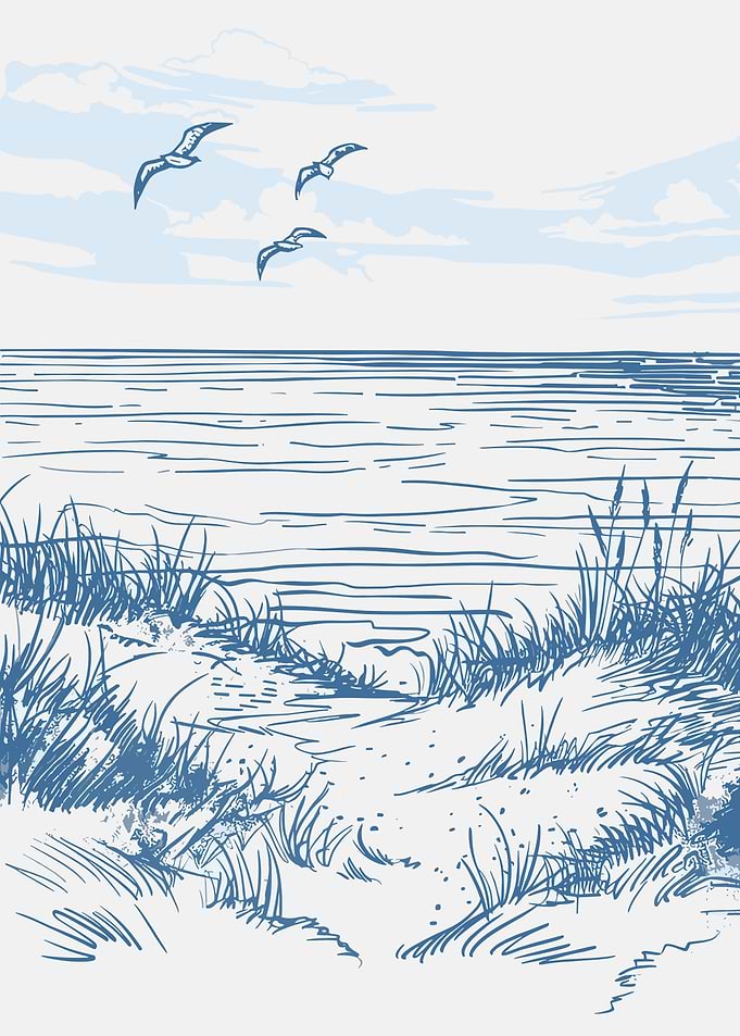 Seagulls flying over the ocean and beach