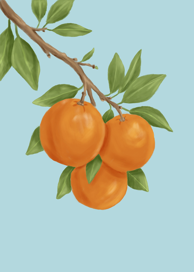 Oranges on a Branch
