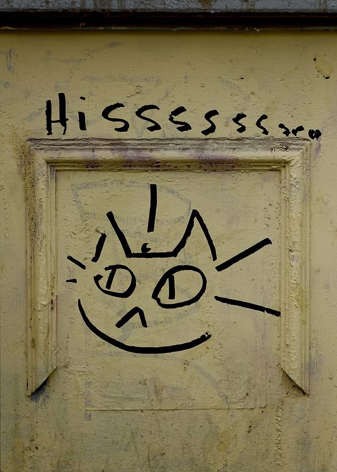 Graffiti Cat Hissing