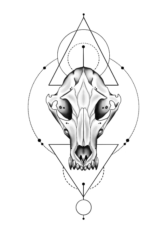 Geometric Fox Skull Sacred Geometry Occult Art