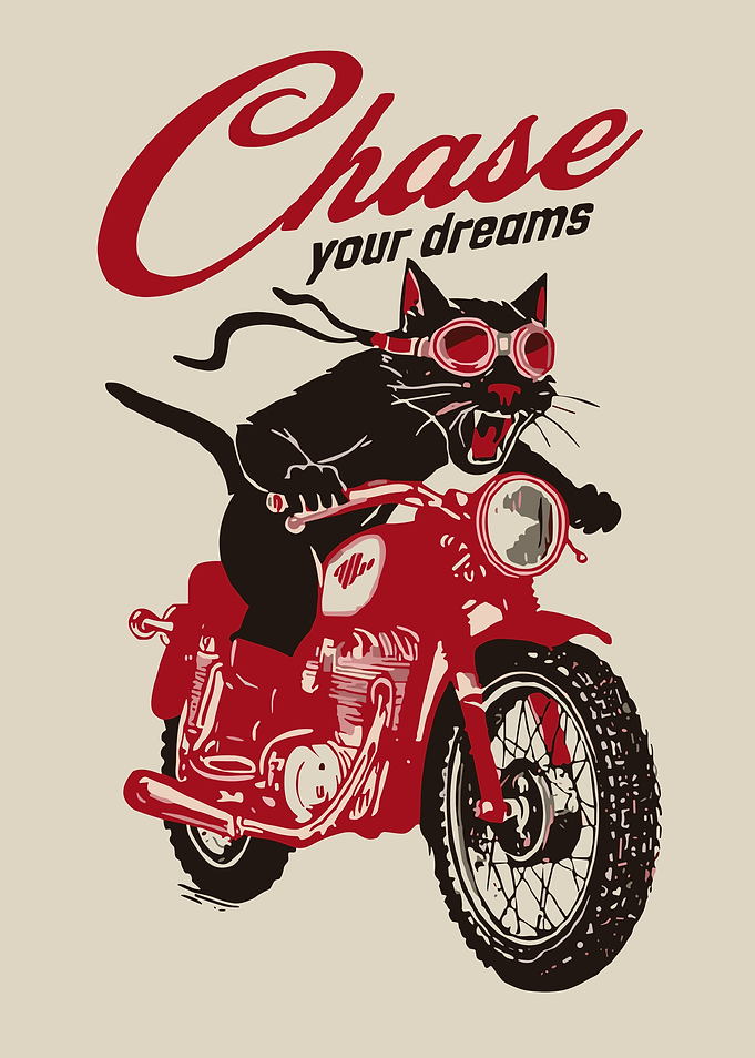 Black Cat Riding a Red Motorcycle