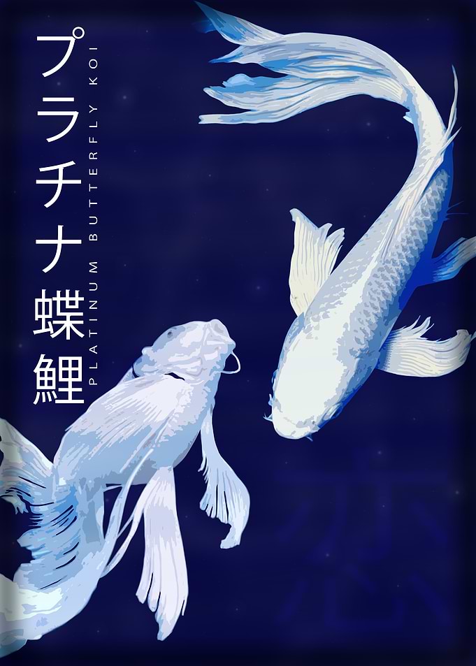 Platinum Butterfly Koi
