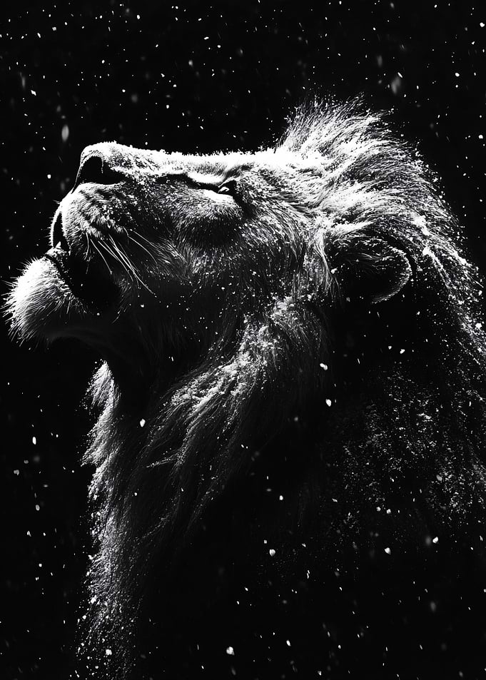 Majestic Lion in Snow