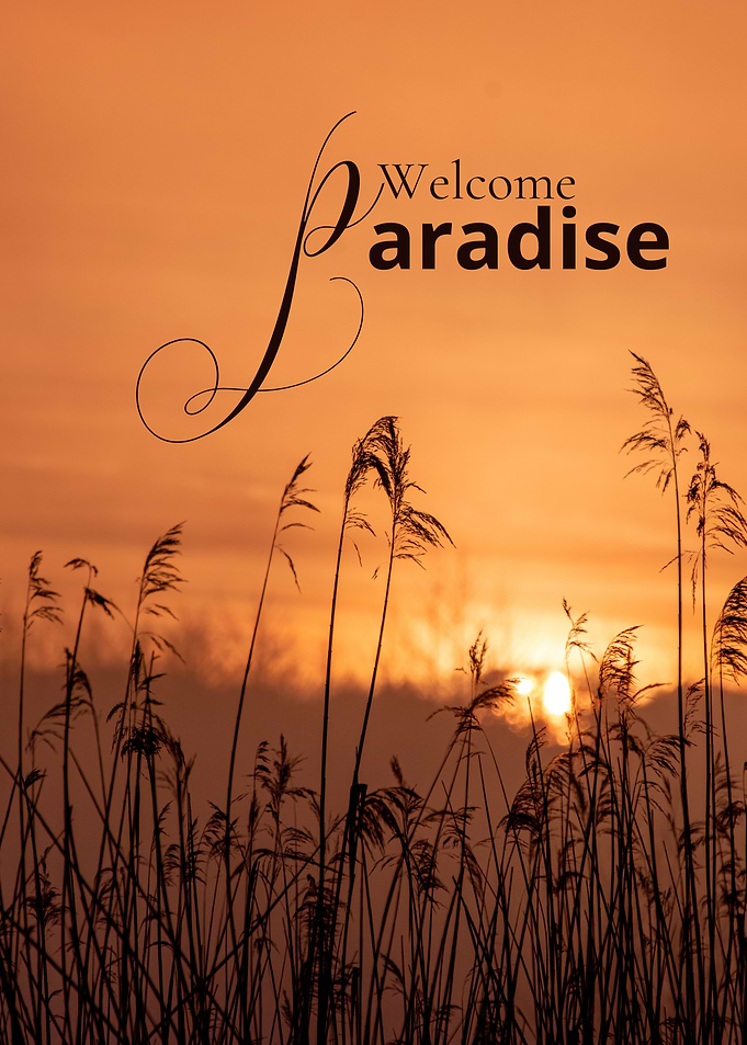 Welcome Paradise Sunset Reeds