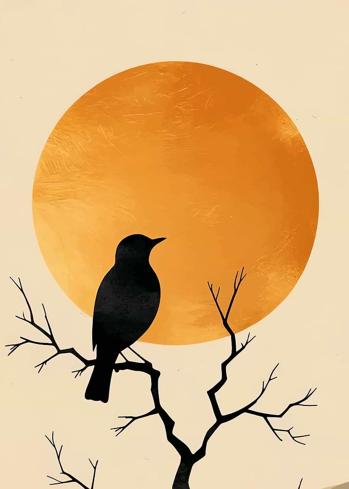 Black bird on a tree branch with orange sun