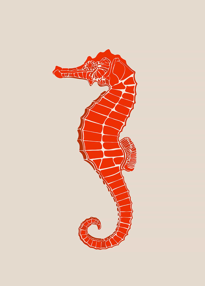 Red Seahorse Illustration