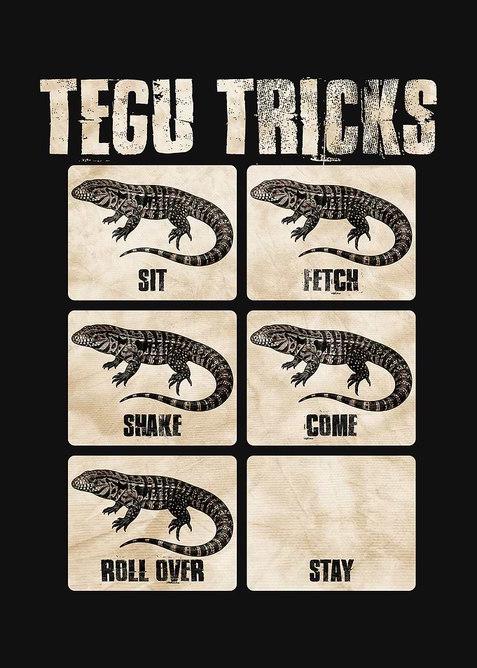 Tegu Tricks Funny Poster