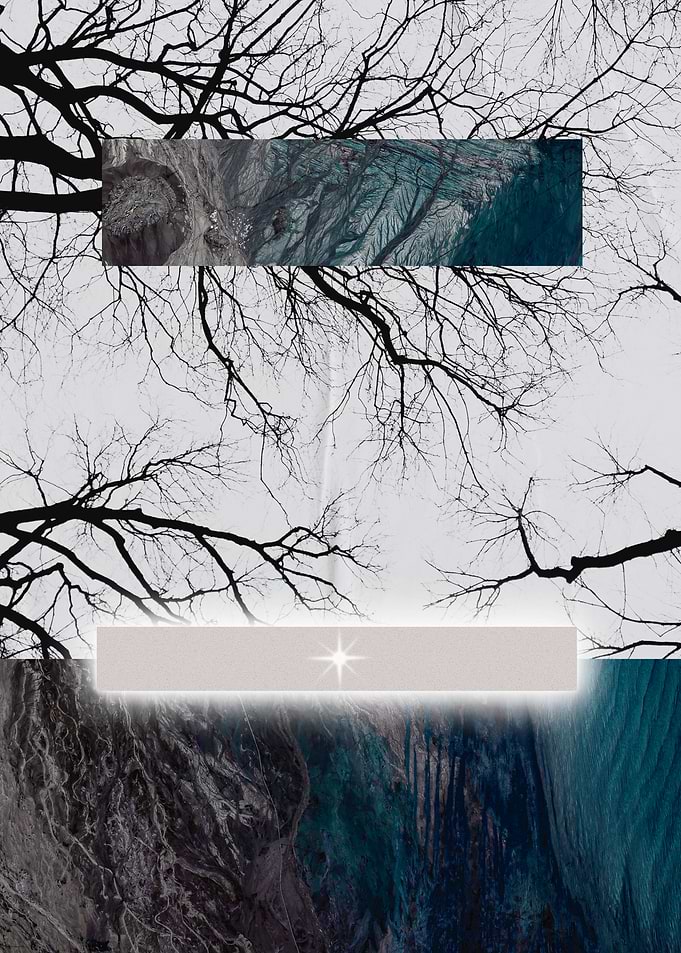(Noise) Abstract Nature Collage