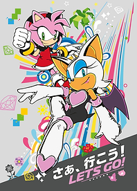 Sonic Girls: Dynamic Duo Unleashed