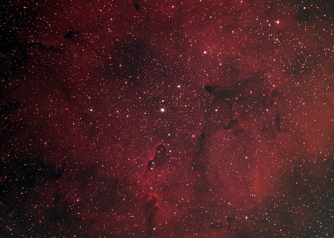The Elephant's Trunk Nebula