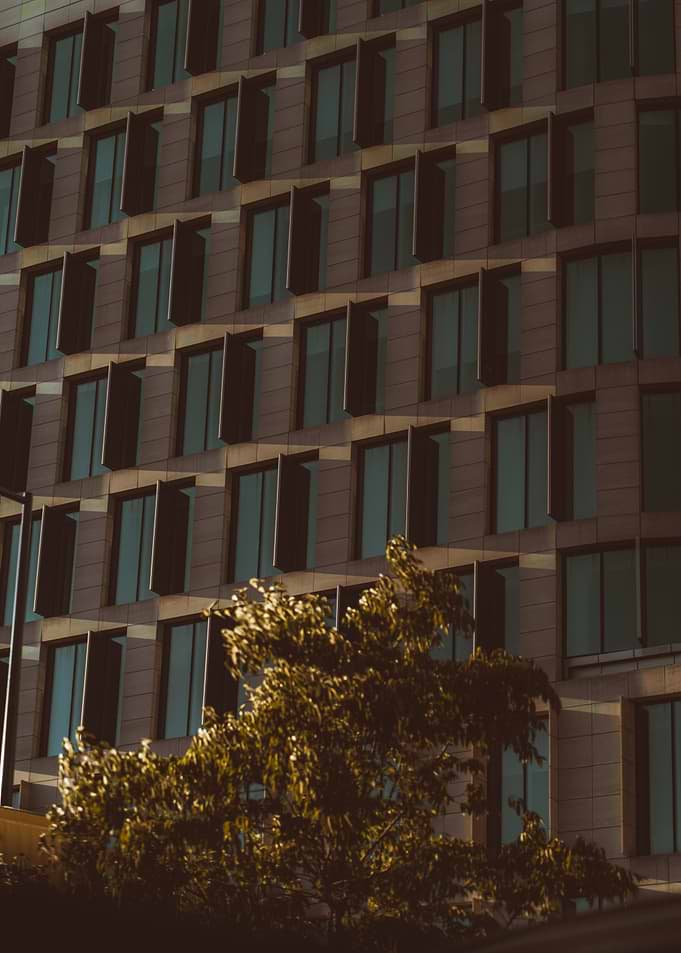 Modern Building Facade with Tree