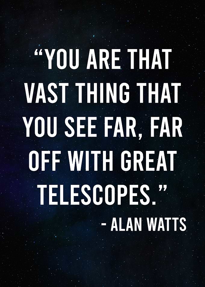 Alan Watts quote YOU ARE IT