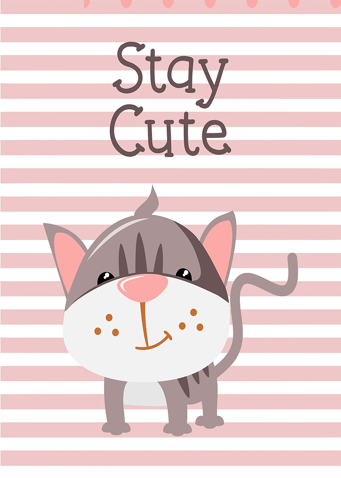 Cute Cat with 'Stay Cute' Text