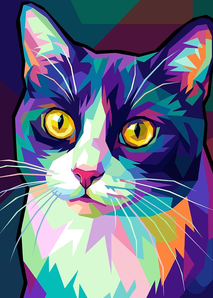 Colorful Cat Portrait