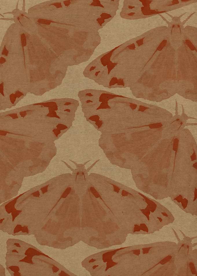 Brown Moths Pattern
